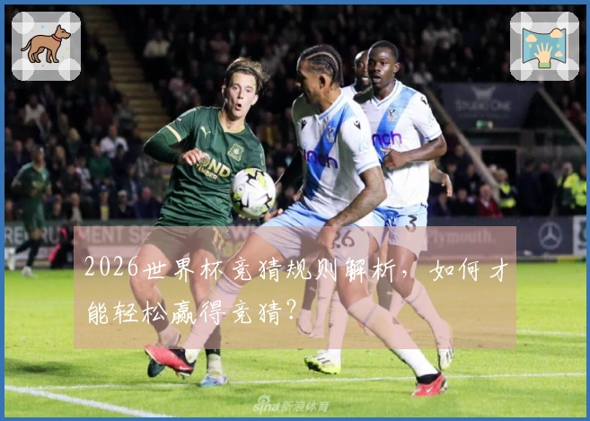 2026世界杯竞猜规则解析，如何才能轻松赢得竞猜？