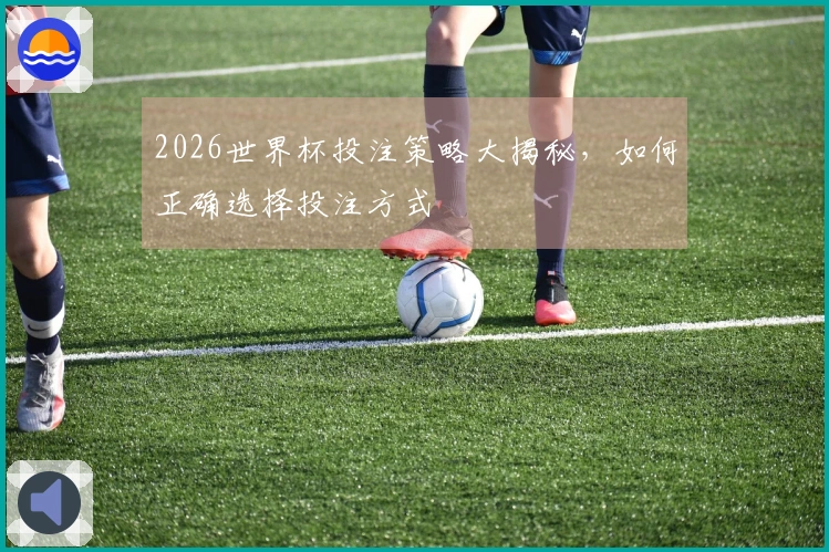 2026世界杯投注策略大揭秘，如何正确选择投注方式