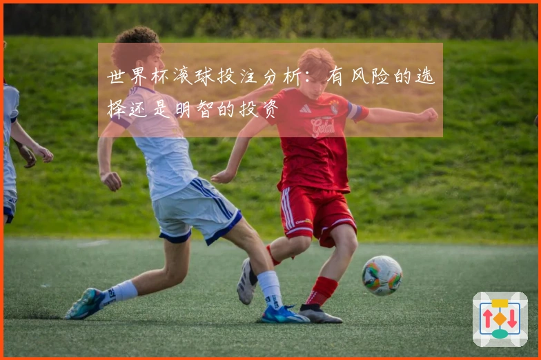 世界杯滚球投注分析：有风险的选择还是明智的投资