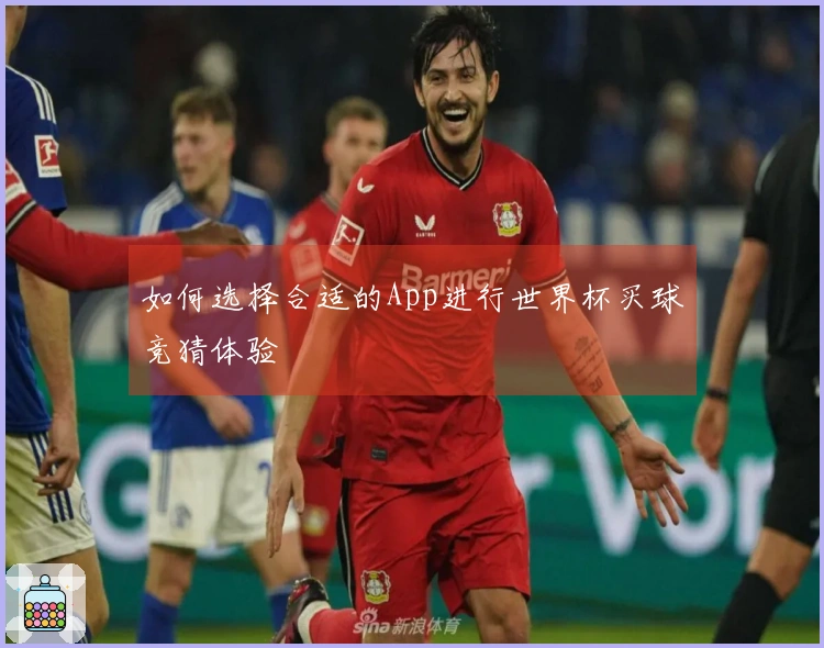 如何选择合适的App进行世界杯买球竞猜体验
